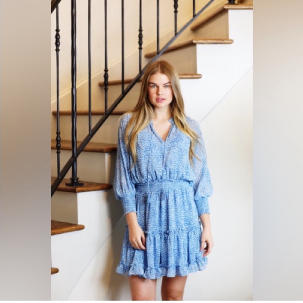 Lovestitch Underestimated Animal Print Dress
